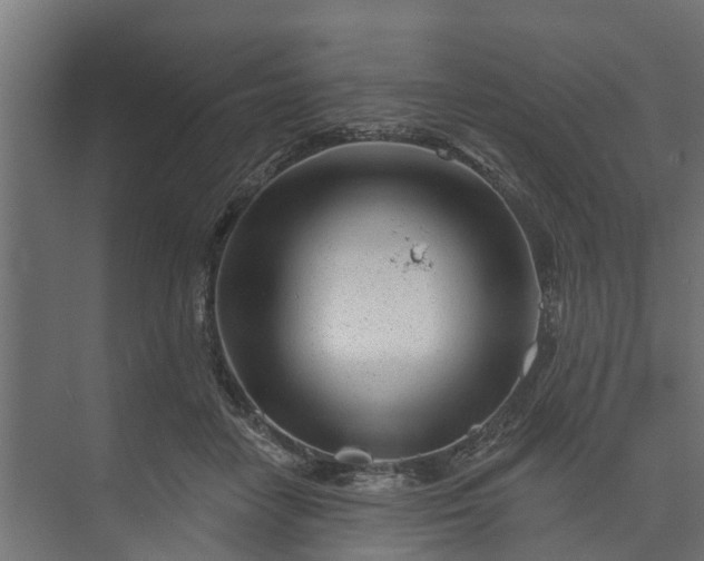 X0000073930458200608251620