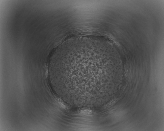 X0000073930471200608251620