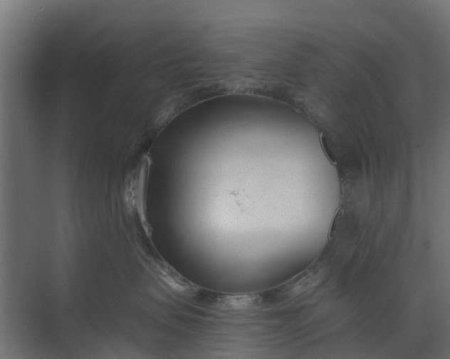 X0000073930479200608251620