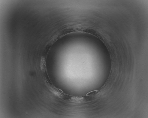 X0000073930480200608251620