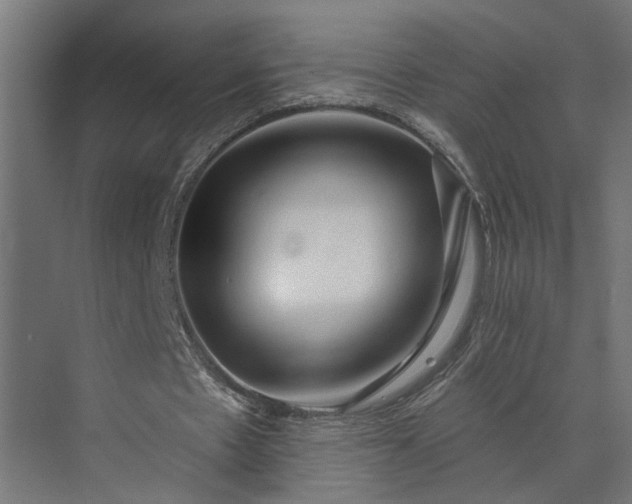 X0000073930481200608251619