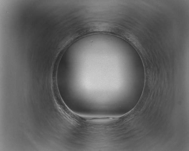 X0000073930482200608251619