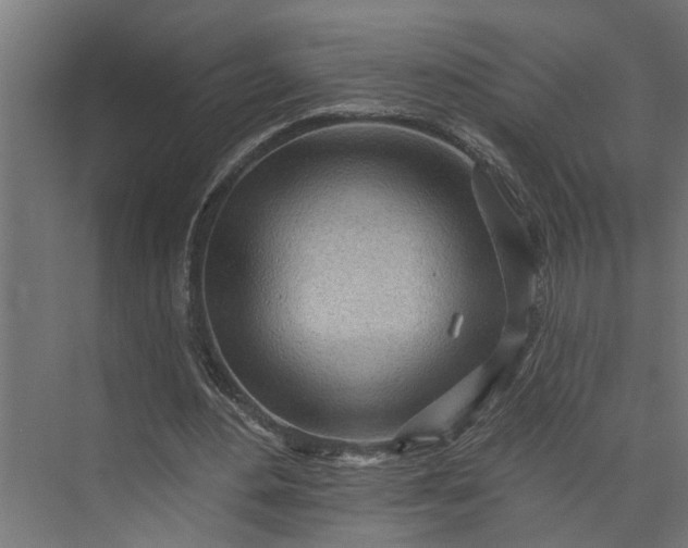 X0000073930484200608251619