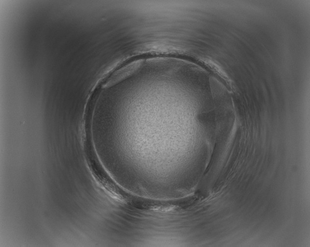 X0000073930488200608251619