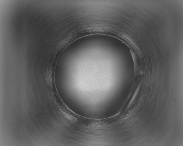 X0000073930489200608251619