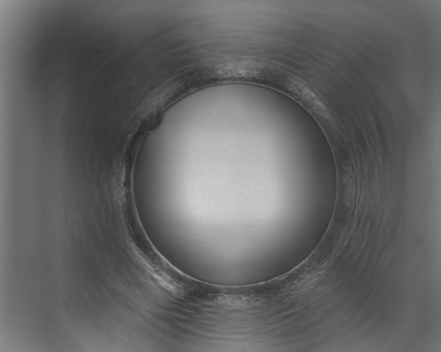 X0000073930490200608251619