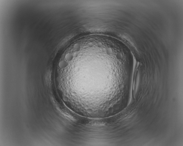 X0000073930491200608251619