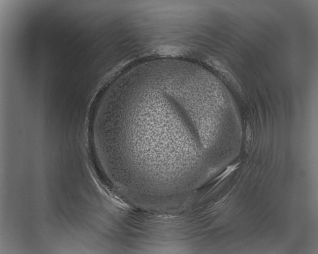 X0000073930492200608251619