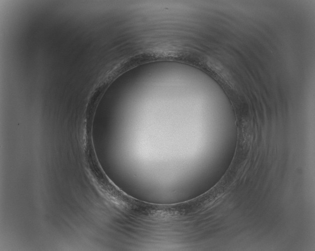 X0000073930494200608251619