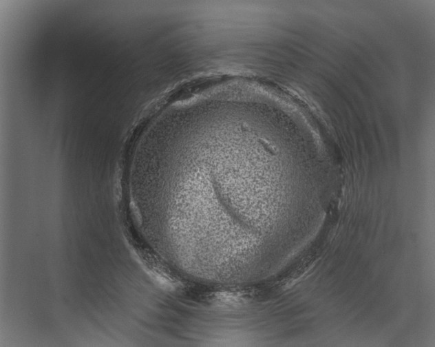 X0000073930496200608251619