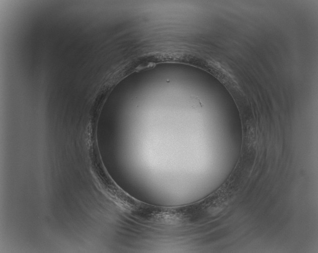 X0000073930498200608251619