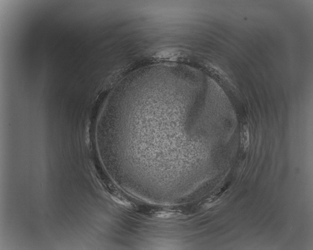 X0000073930504200608251619