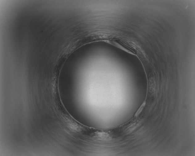 X0000073930509200608251619