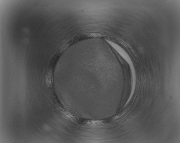 X0000073930517200608251619