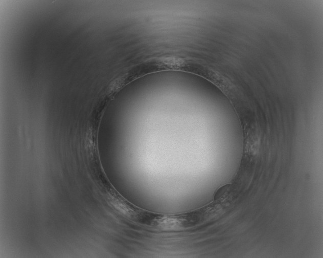 X0000073930518200608251619