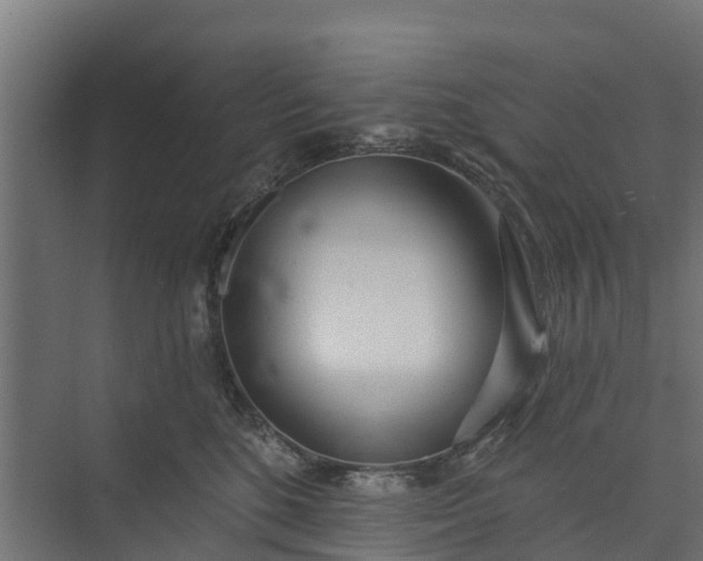 X0000073930520200608251619