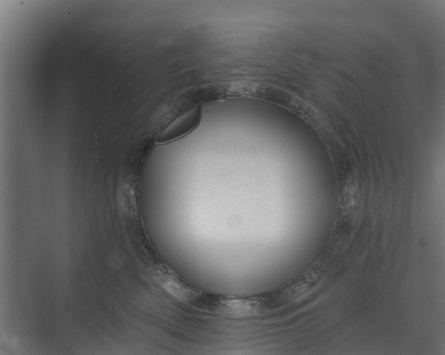 X0000073930522200608251619