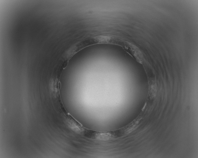 X0000073930525200608251619