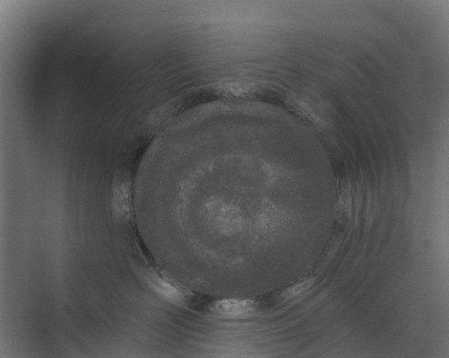 X0000073930526200608251619