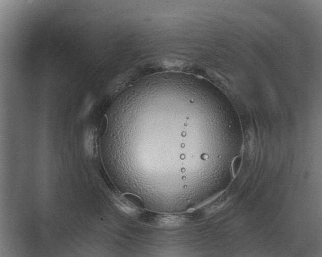 X0000073930527200608251619