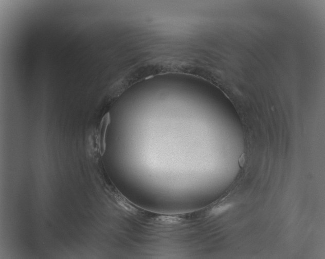 X0000073930528200608251619