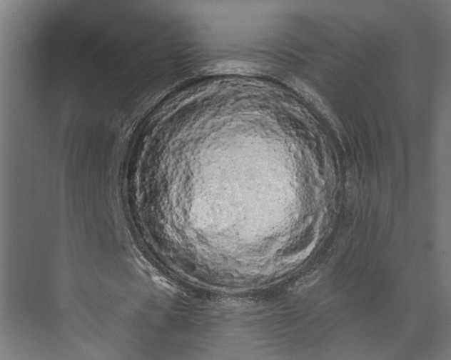 X0000073930529200608251618