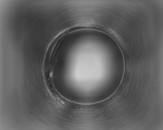 X0000073930532200608251618