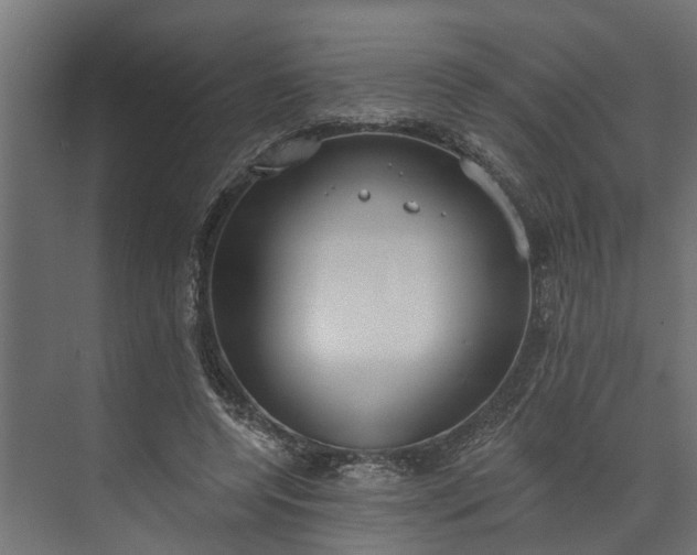 X0000073930544200608251618