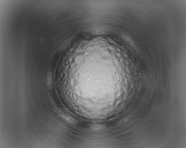 X0000073930549200608251618