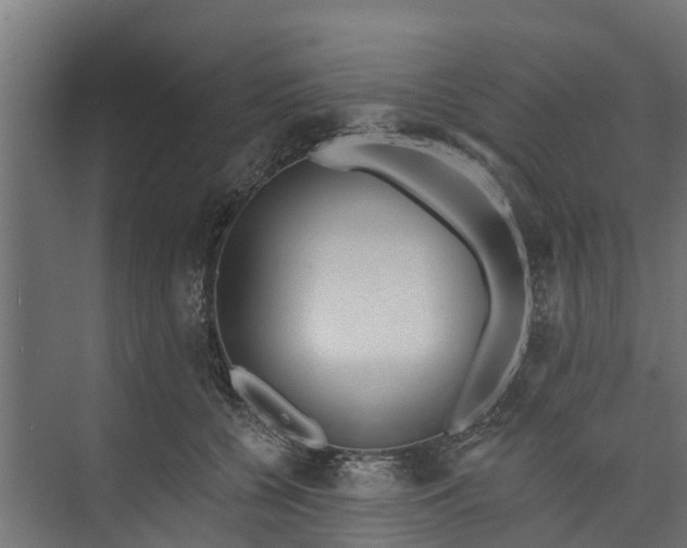 X0000073930560200608251618