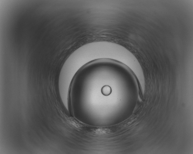 X0000073930566200608251618