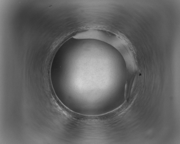 X0000073930577200608251618