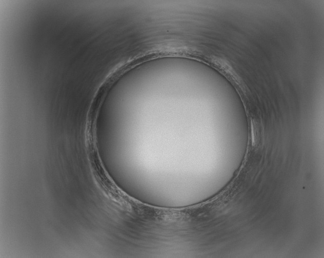 X0000073930579200608251618