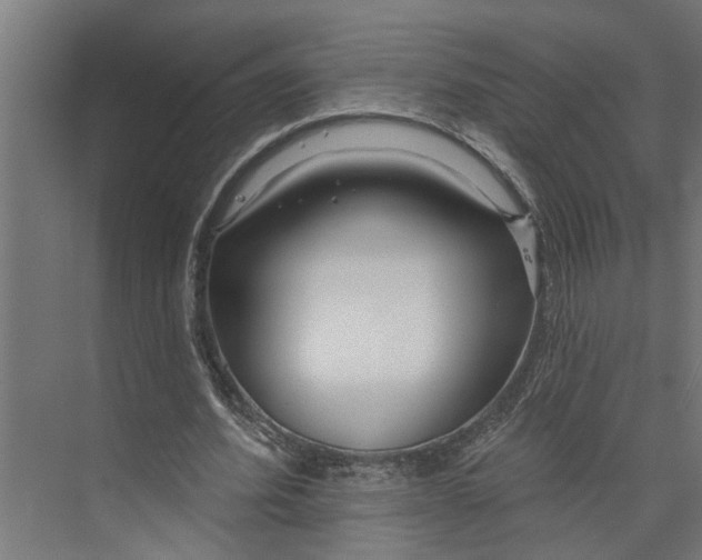 X0000073930580200608251618