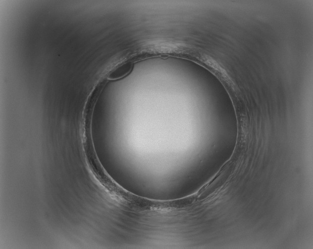 X0000073930582200608251618