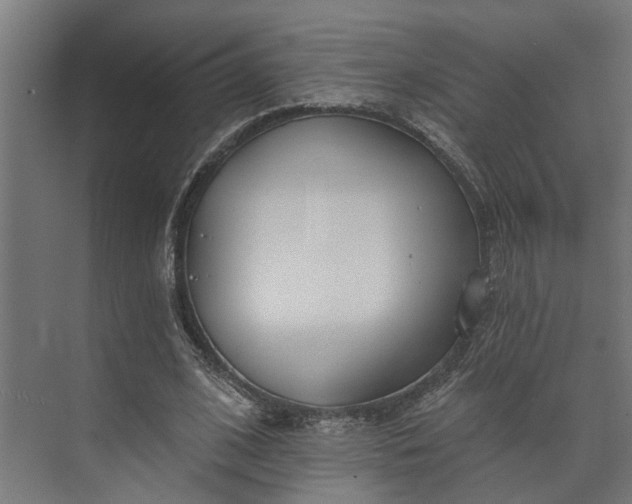 X0000073930584200608251618