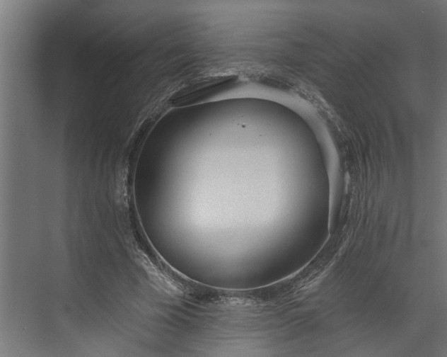 X0000073930585200608251618