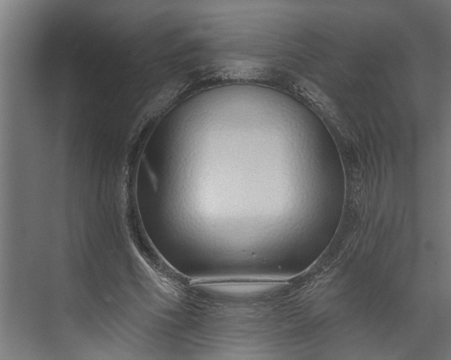 X0000073930586200608251618