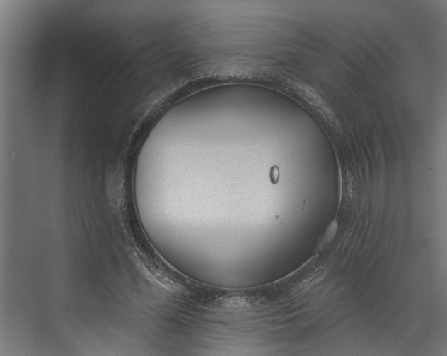 X0000073930588200608251617