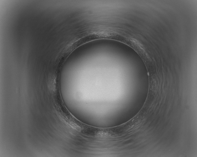 X0000073930596200608251617