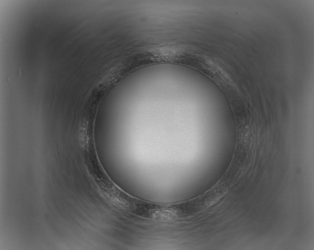 X0000073930599200608251617