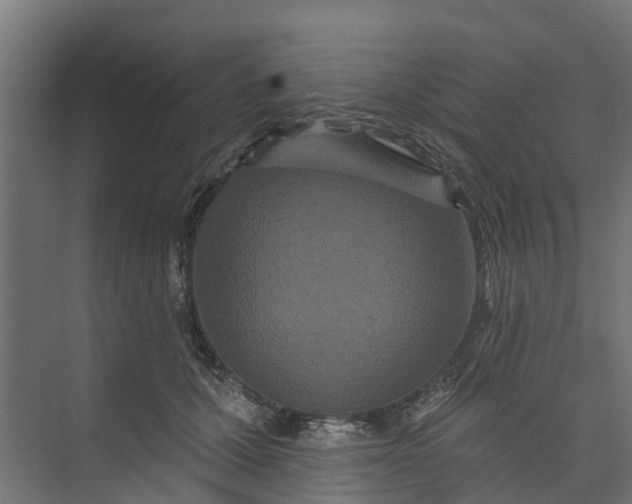 X0000073930607200608251617