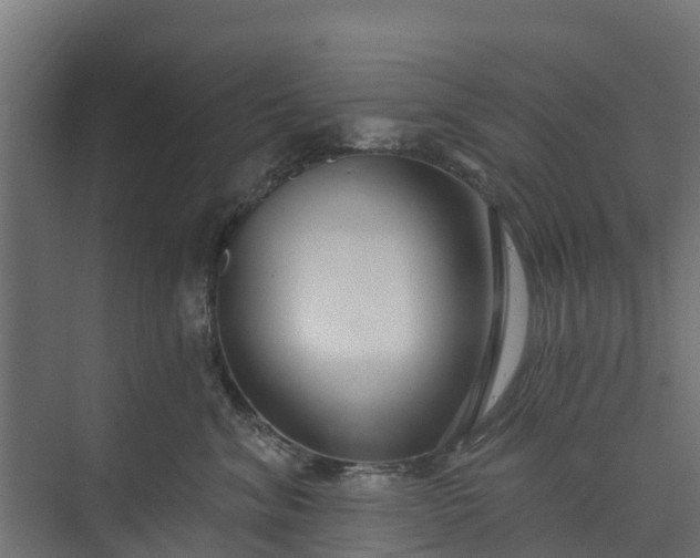 X0000073930620200608251617