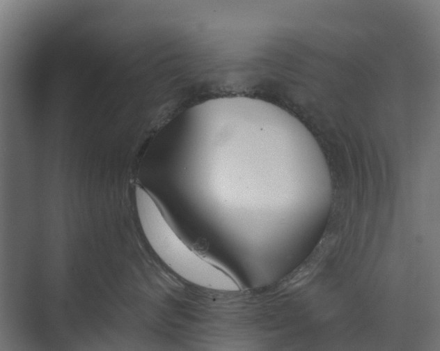 X0000073930624200608251617