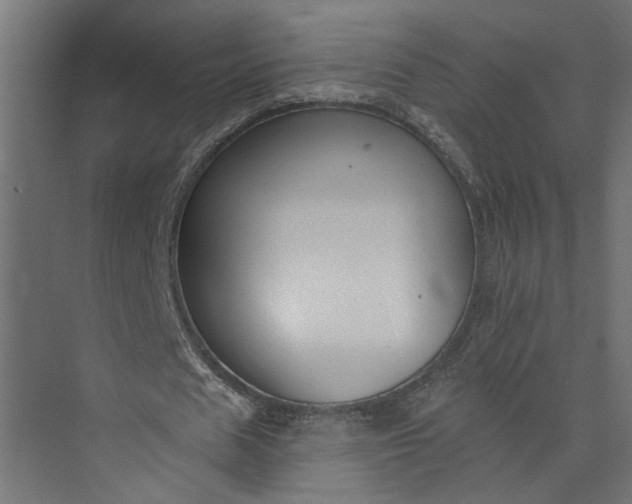 X0000073930625200608251616