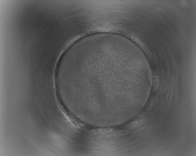 X0000073930626200608251616