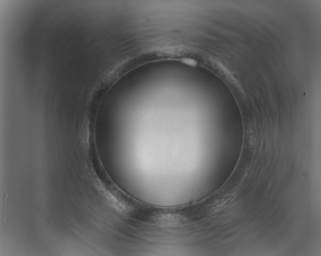 X0000073930637200608251616