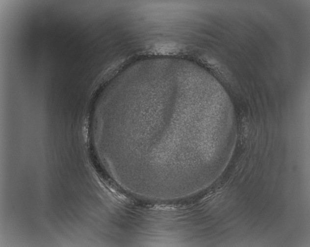 X0000073930640200608251616