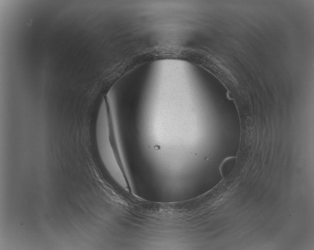 X0000073930641200608251616