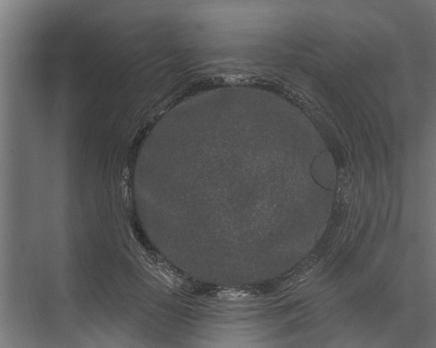 X0000073930650200608251616